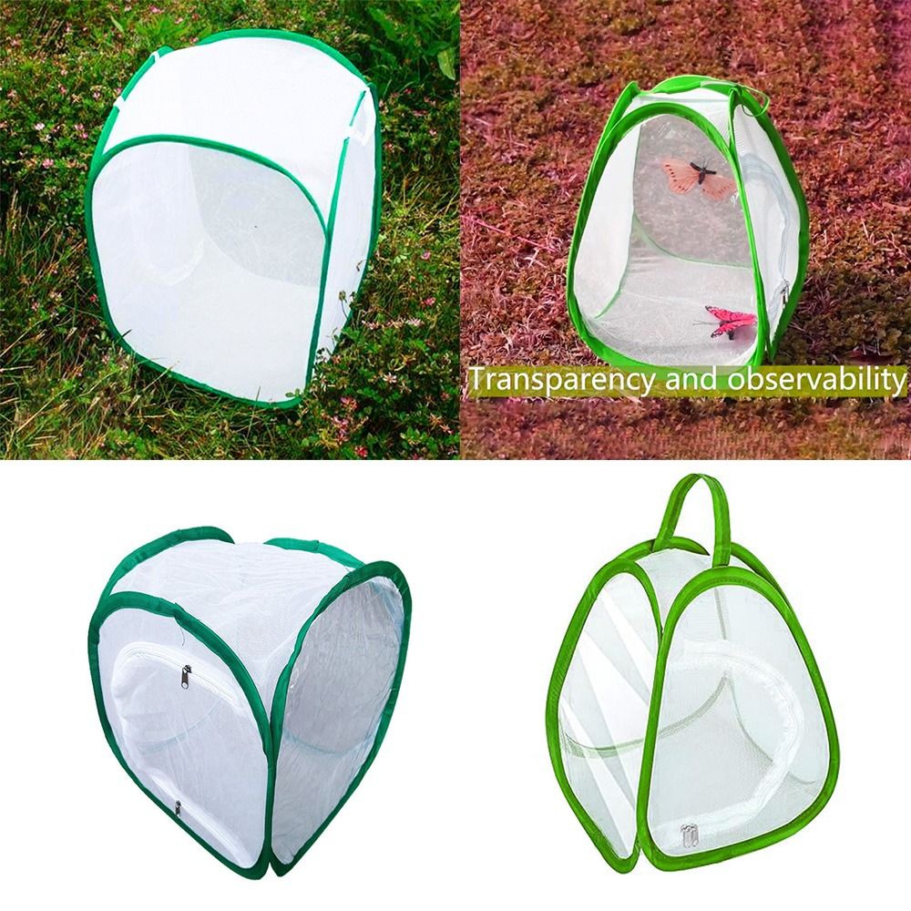 Green Screen Collapsible - Grüner zusammenklappbarer Insektenkäfig mit Reißverschluss, Futterbox