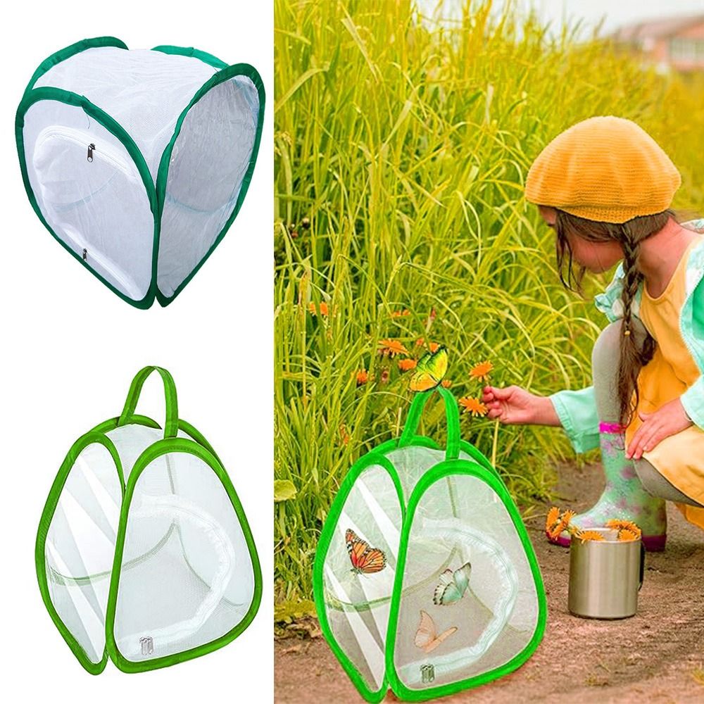 Green Screen Collapsible - Grüner zusammenklappbarer Insektenkäfig, transparentes Netz, Reißverschlussöffnung,