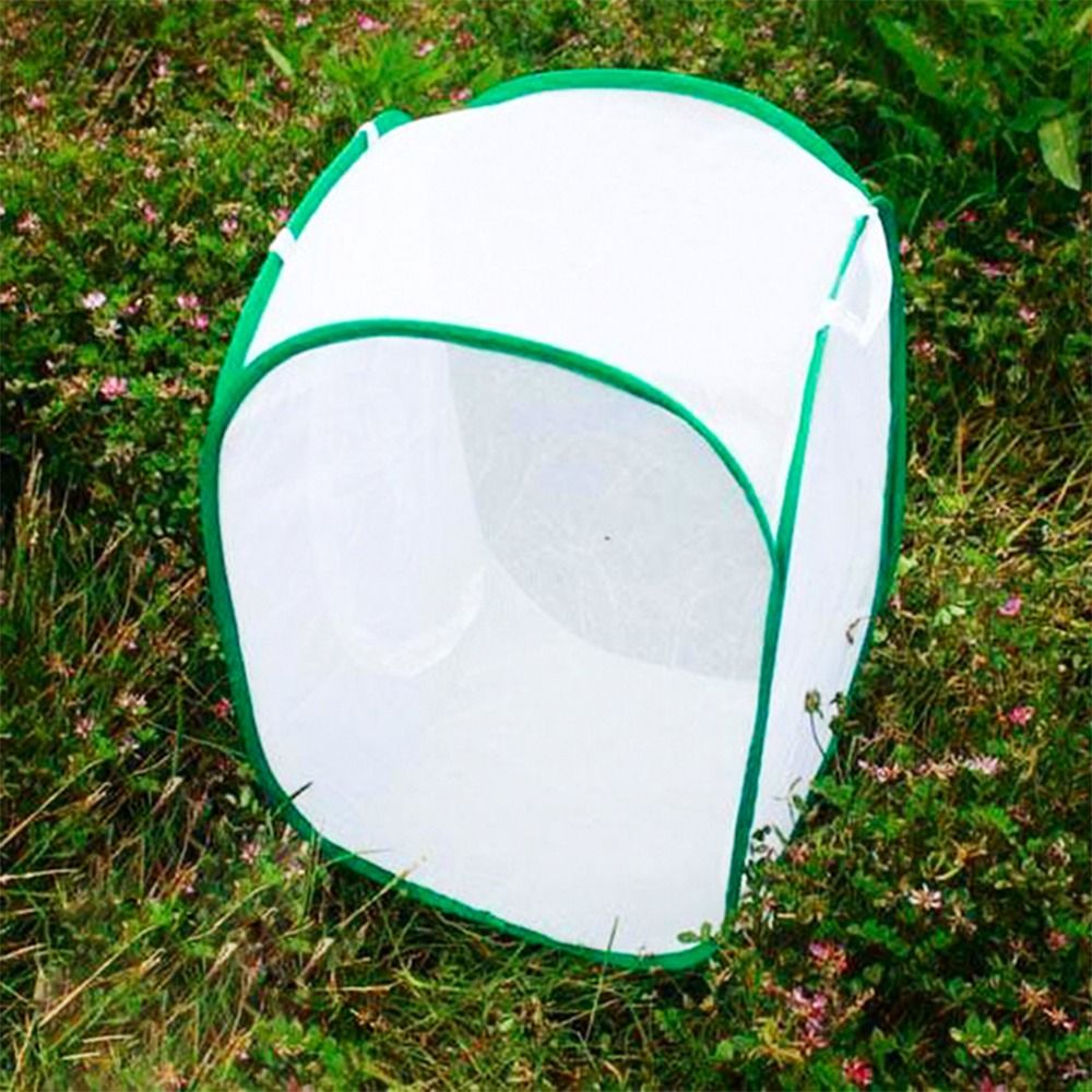 Grüner zusammenklappbarer Inse – Green Screen Collapsible Bewertung und Preis