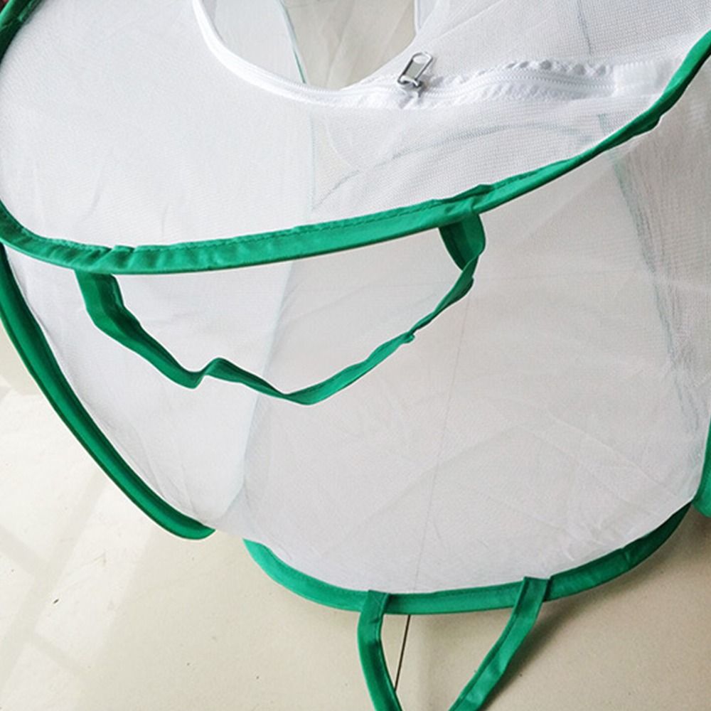 Grüner zusammenklappbarer Inse – Green Screen Collapsible Bewertung und Preis