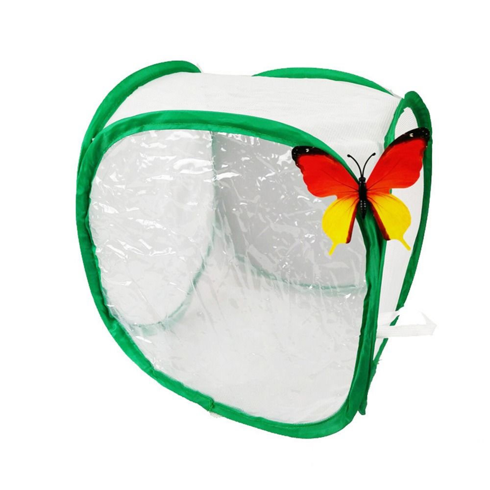 Grüner zusammenklappbarer Inse – Green Screen Collapsible Bewertung und Preis